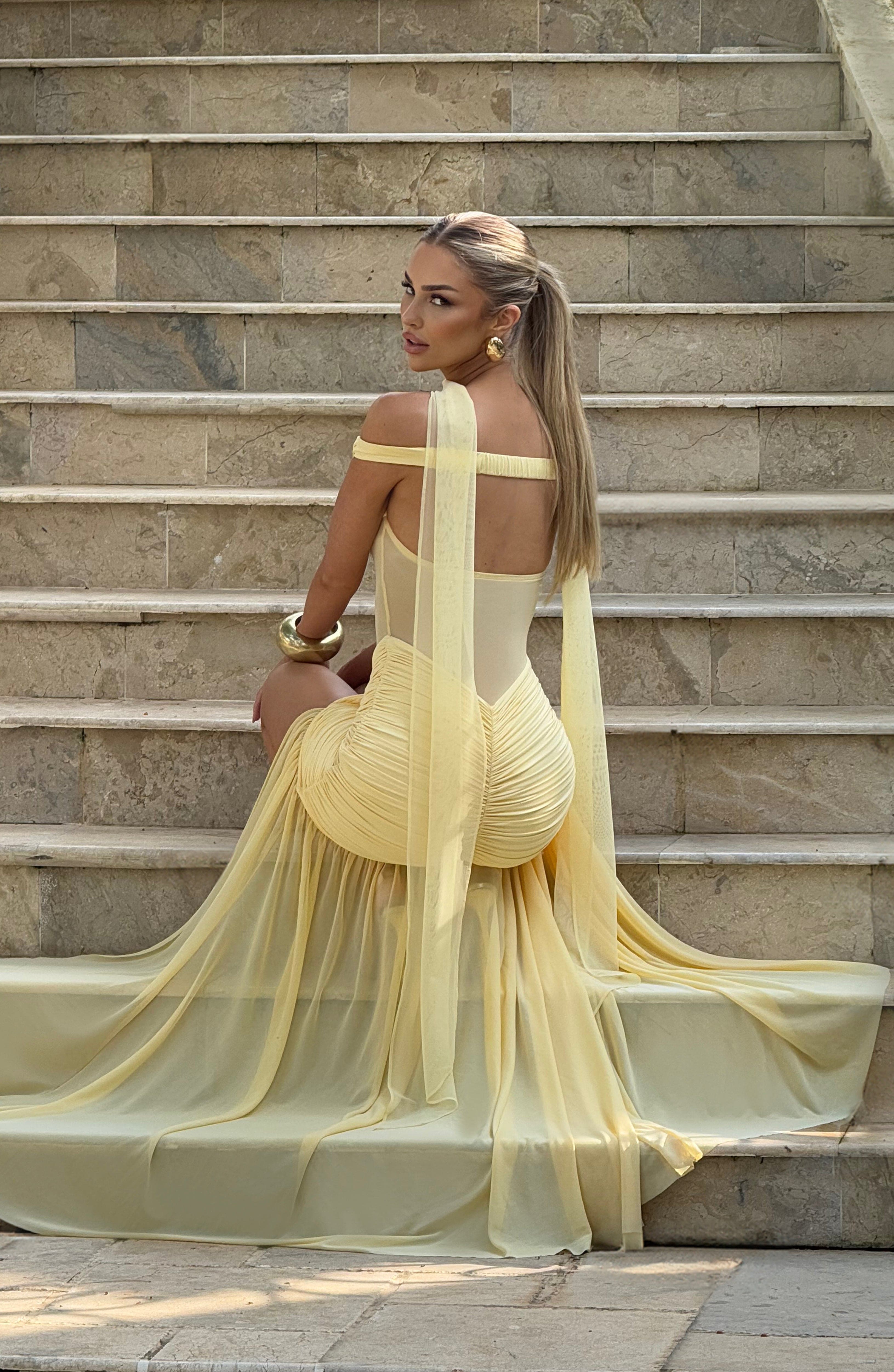Alaia Bardot Mesh Maxi Dress